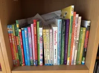 Leesboeken jongens meisjes vanaf 6/ 7 / 8 jaar , waaronder AVI  Leesboeken jongens meisjes vanaf 6/ 7 / 8 jaar , waaronder AVI