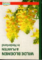 Wilde bloemen en planten in Nederland