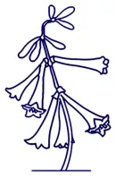 Nieuwe Spreuken  - boek