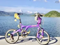 Op zoek naar een Riese Birdy Müller Vouwfiets voor mee te nemen per Trein 