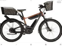 Riese Müller Delite Elektrische Fietsen Gezocht Gevraagd als op Afbeelding 